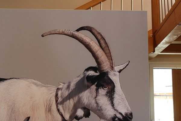Wandbespannungen